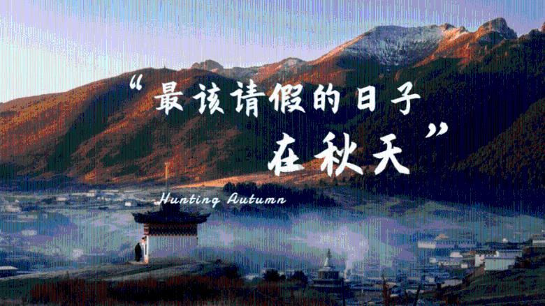 苏菲亚和安伯的休闲装