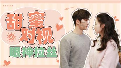 萌犬找不同